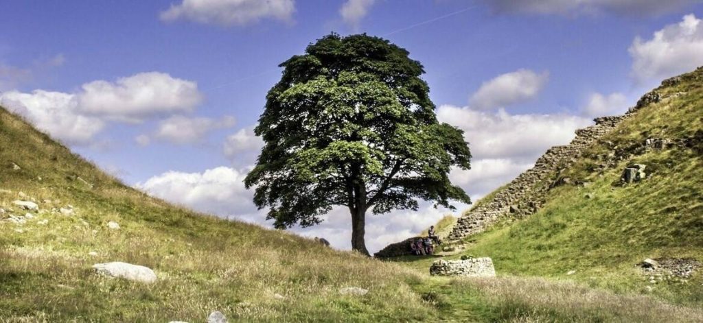 Walking Hadrian's Wall. The Blogging Musician @ adamharkus.com