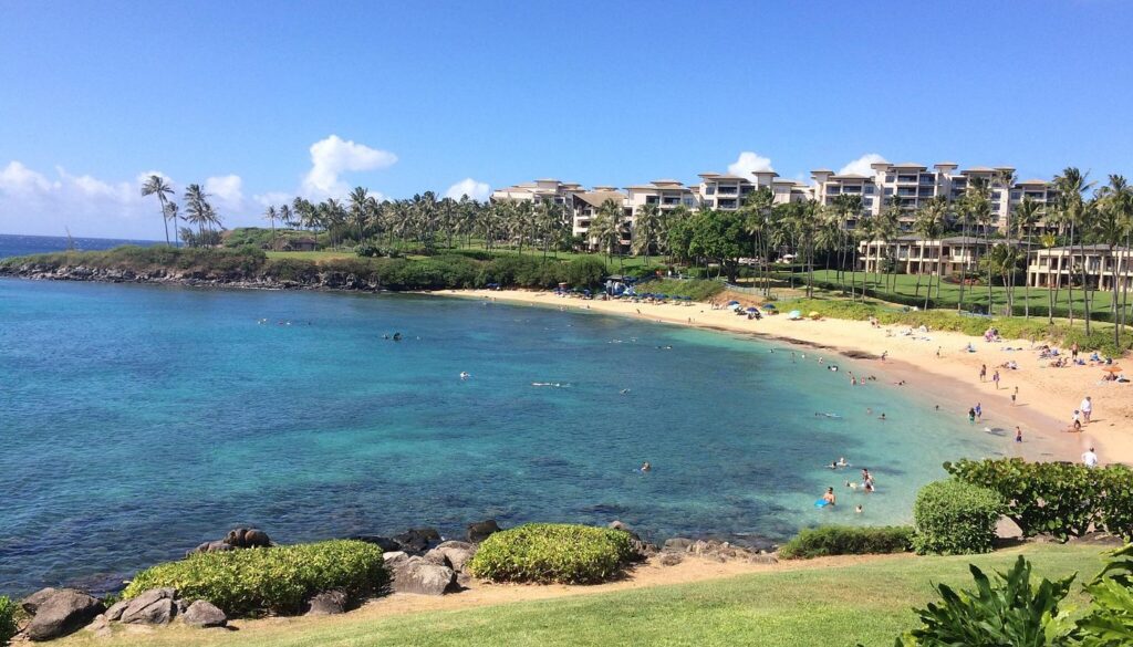 Best Maui Snorkeling Spots for Beginners and Families. The Blogging Musician @ adamharkus.com