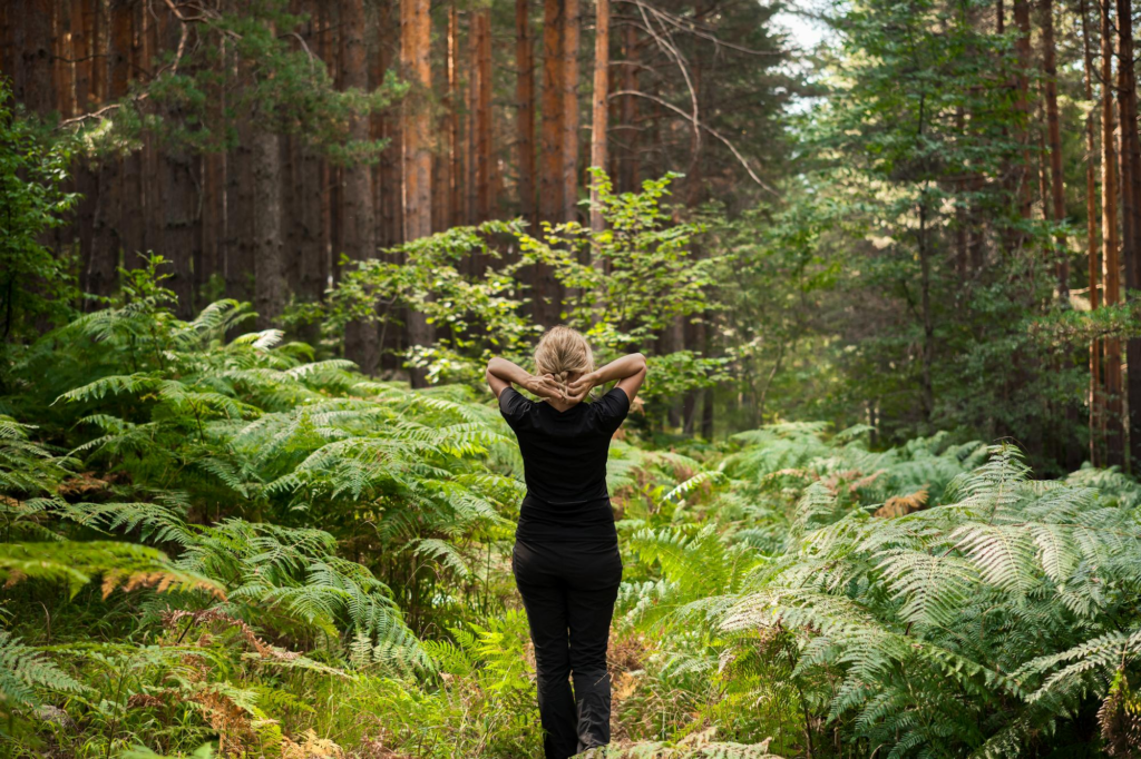 Healing through Nature: 5 Tips for Mental Well-Being